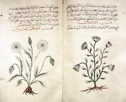 Arabic_herbal_medicine_guidebook