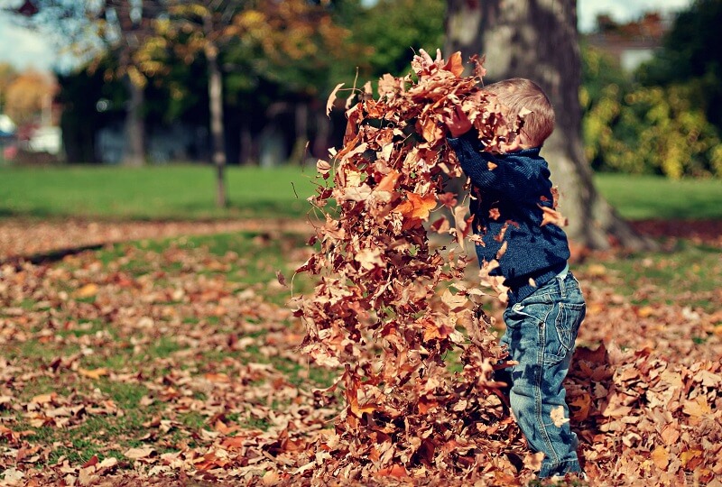 play therapy in nature